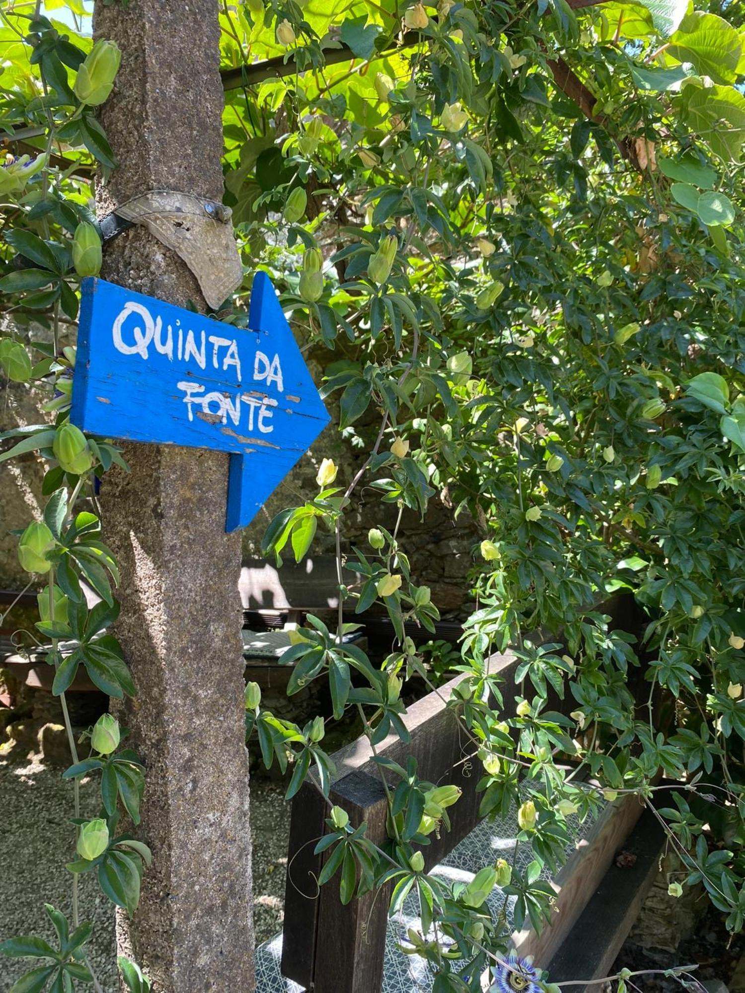 Guest Room Agro-Turismo Quinta Da Fonte Bed&Breakfast Figueiro Dos Vinhos Luaran gambar