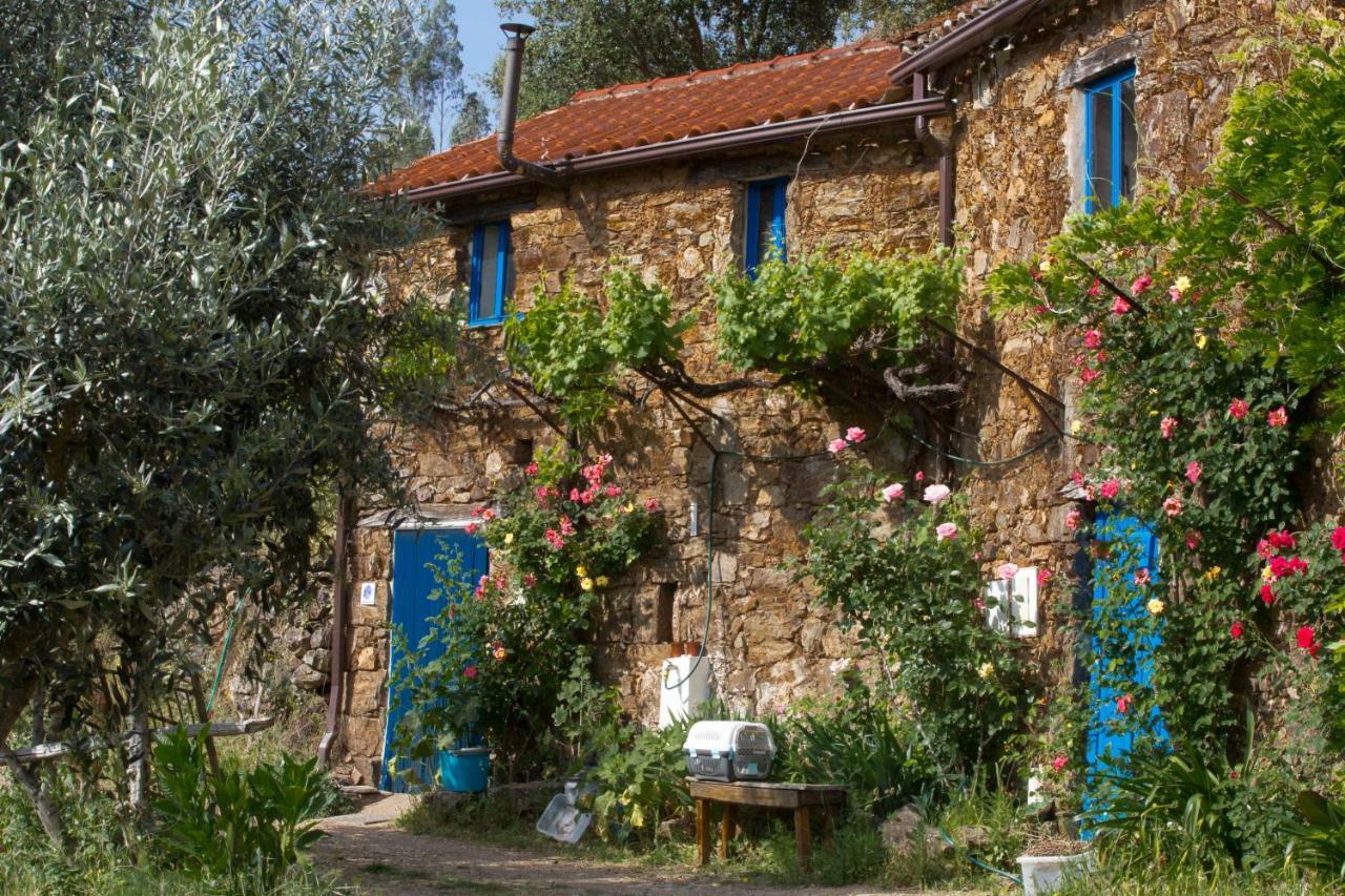 Guest Room Agro-Turismo Quinta Da Fonte Bed&Breakfast Figueiro Dos Vinhos Luaran gambar